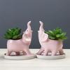 Elephant Decorative Ceramic Flower Pot for Succulents – Mini Cactus Planter with stand, Elegant Home Garden Decor