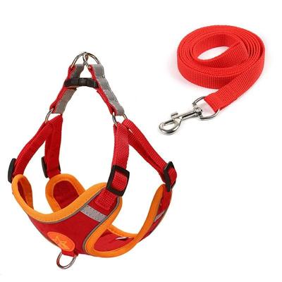 Pet Dog Fashion Leash