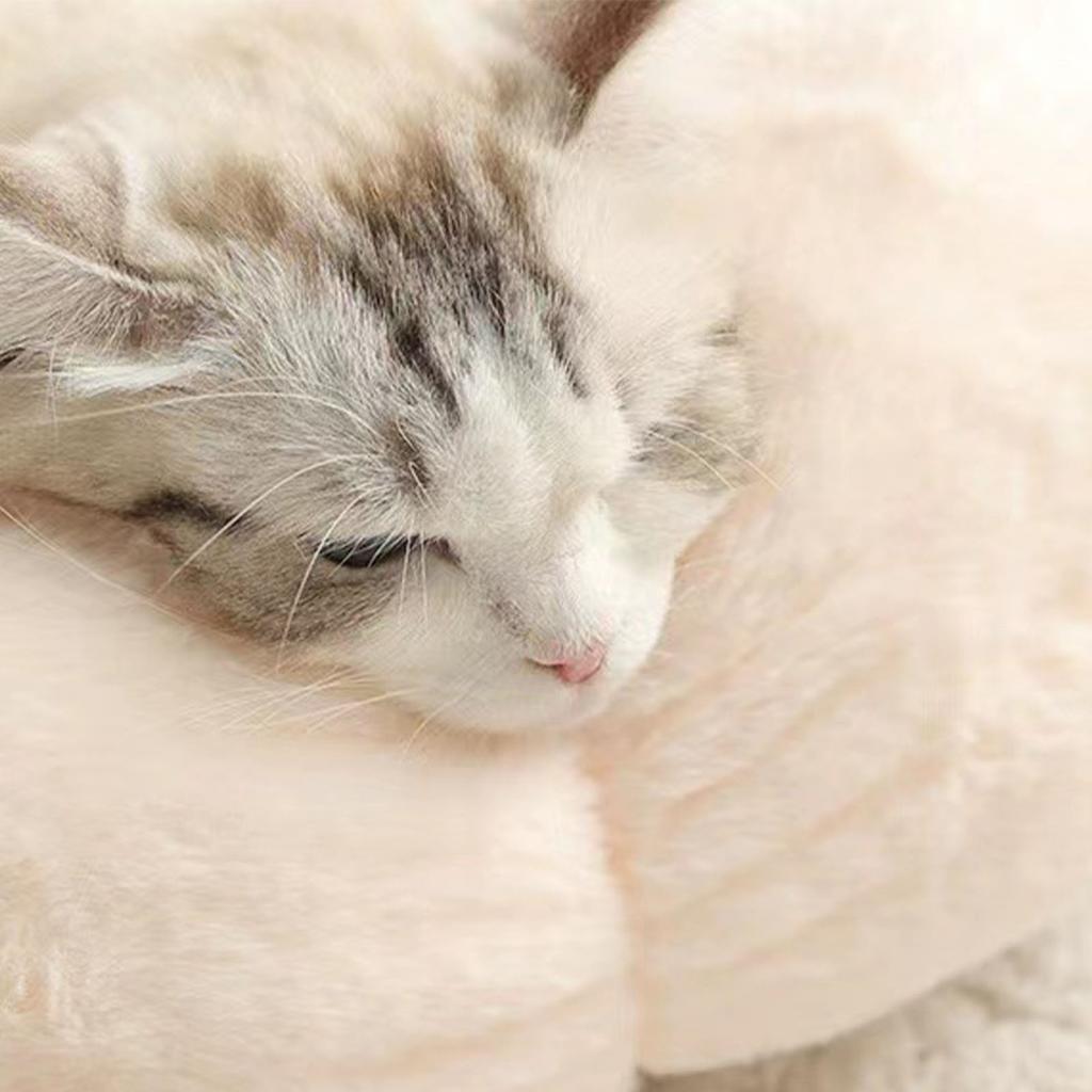 Haustierbett Niedliche Runde Blumenform Weich Bequem Warm Verdickt Hunde Katzen Kissenbett für Schlafzimmer