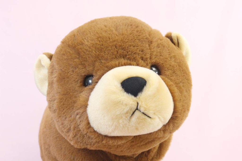 Schritt Schnee L Bär