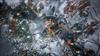 Frostpunk 2 North Xbox Series X (Imported Version America) -