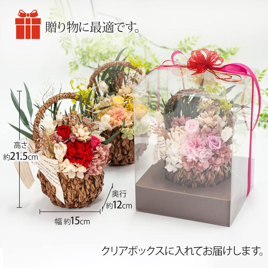 Apron Selection Preserved Flower Basket (Orange) Wrapped In a Clear Case, Made In Japan by a Floral Arranger (Gift/Present/Mother's Day)
