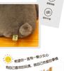 Adorable Teddy Bear Plush with Scarf - Valentine's Day Gift