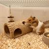 Tree Hole Shape Fish Hollow Shelter Plastic Reptile Shelter Reptile Hideout Cave  Reptile Habitat