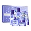 Luxury Blueberry Hyaluronic Acid Essence Moisturizing 6-piece Anti-Wrinkle Repair Whitening Freckle Removing Skin Care Set