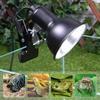 Thermostat Turtle Basking Lamp Clip-on Lamp Holder Pet Heat Bulb  Snake Tortoise Plants