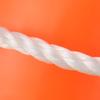 Adult Solid Foam Life Buoy