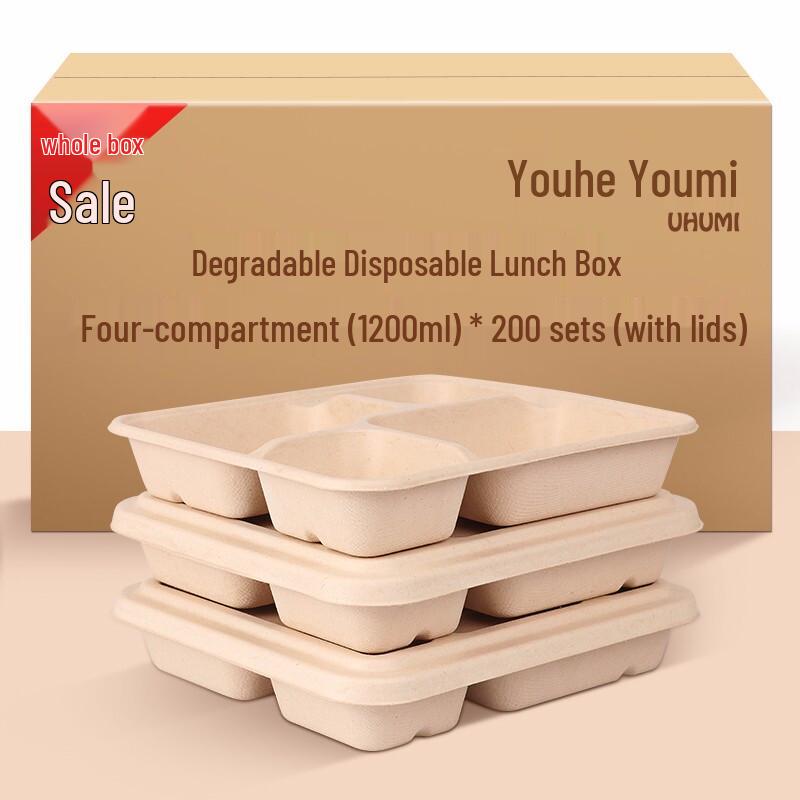 Biologisch abbaubare Einweg-Lunchbox mit 4 Fächern