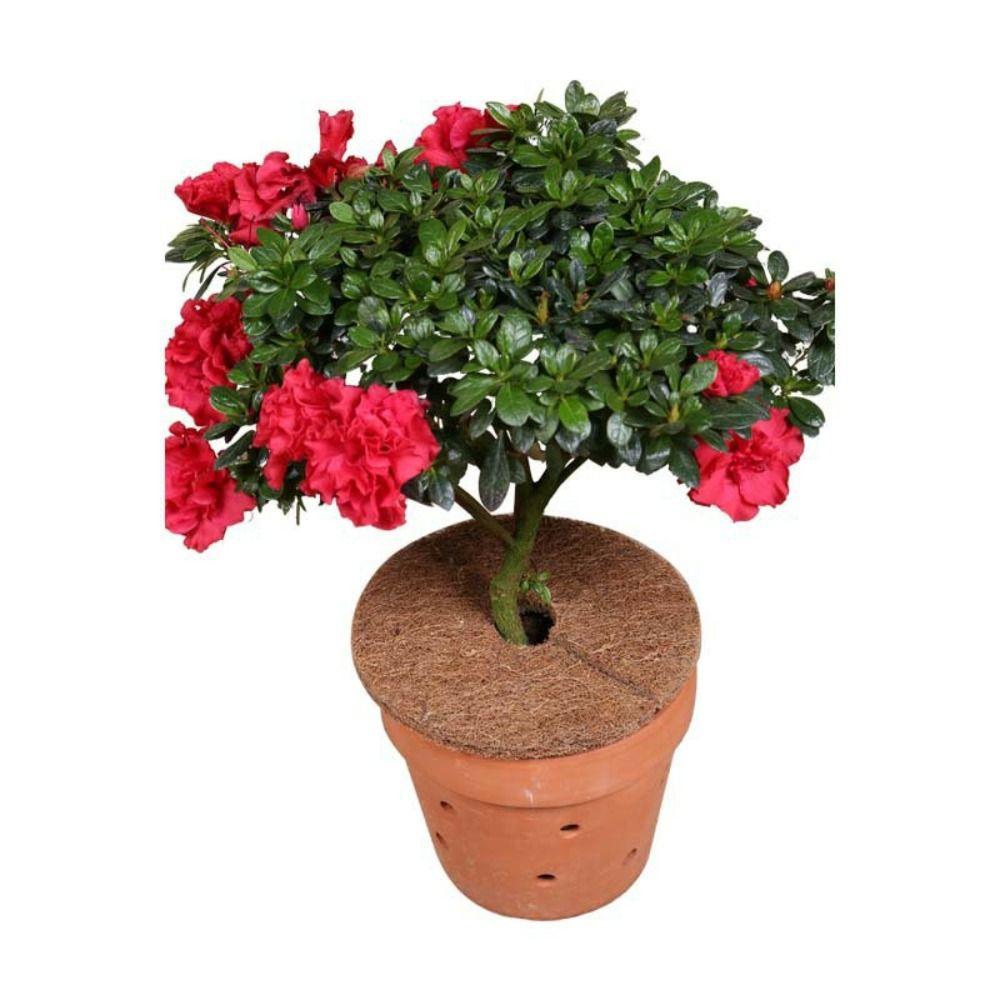 Anti Grass Flower Pot Disc Mat Thick Tree Guard Mat Waterproof Flower Pot Leak-proof Mat  Planters