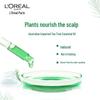 L'Oréal Teebaumöl Reinigendes Anti-Schuppen Öl-Kontrolle Shampoo 500ml
