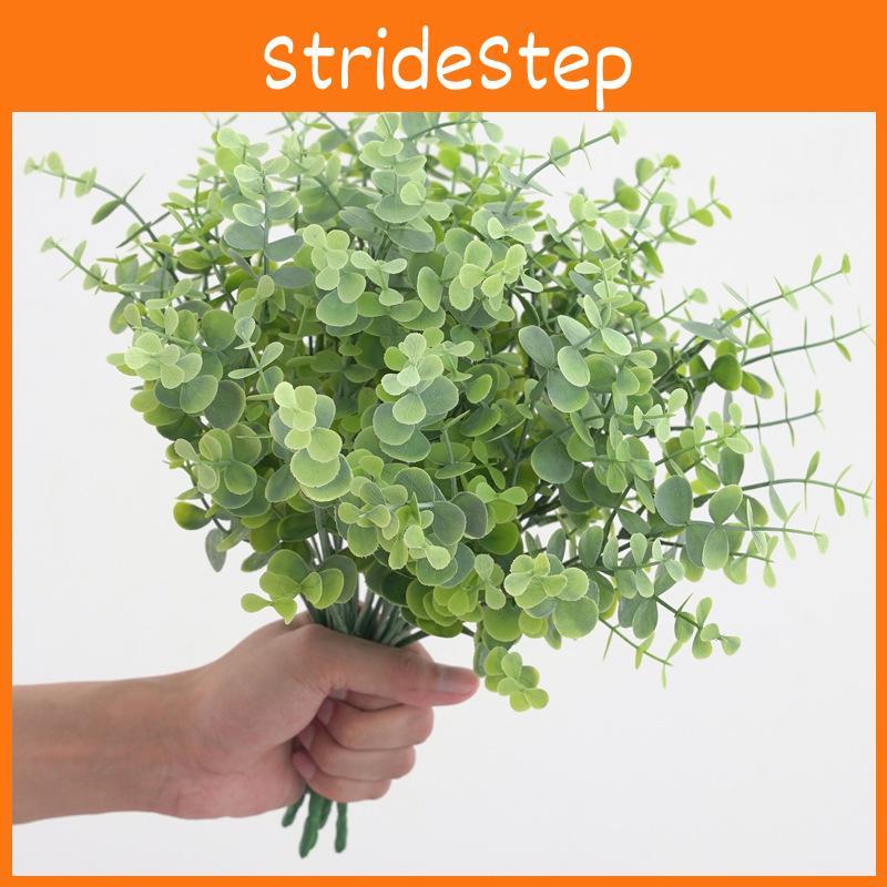 Branch Eucalyptus Globulus For Garden Party Photography Decoration Props