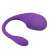 APP Clit Vibrator Wearable G-Spot Stimulator Vibrating Vagina Massager Sex Toys for Women