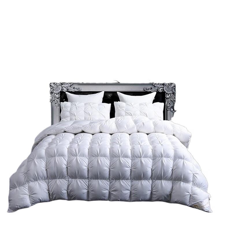 

PLOVER Premium Winter Goose Down Quilt