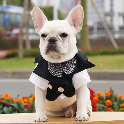 Giyim ve ayakkabı – Köpek elbiseleri