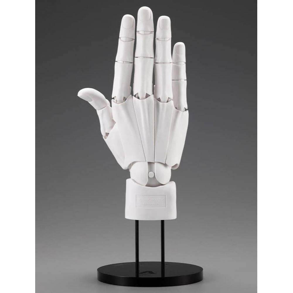 Künstler Unterstützung Artikel 1 1 Künstler Unterstützung Artikel Handmodell Herren S R Weiß