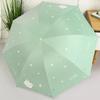 Umbrella for Both Sunny and Rainy Weather, Fully Automatic, Stylish for Women and Students, Uv Protection, Double-Layer Sunshade, 2026 New Model
