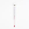 TREND'UP - COOKING THERMOMETER IN BLISTER PACK