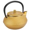 Stovetop Cast Iron Teapot Stainless Steel Infuser Japanese Tetsubin Kettle  Tea Brewing