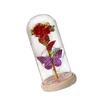 Valentines Day Gifts for Her Rose Butterfly In Glass Dome for Graduation Mothers Day Valentine's Day Engagement Girlfriend