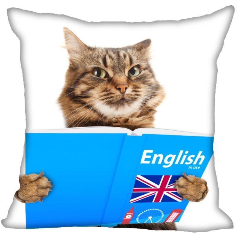 Bedroom Home Office Decor Pillowcase Square  Funny Cat Animal