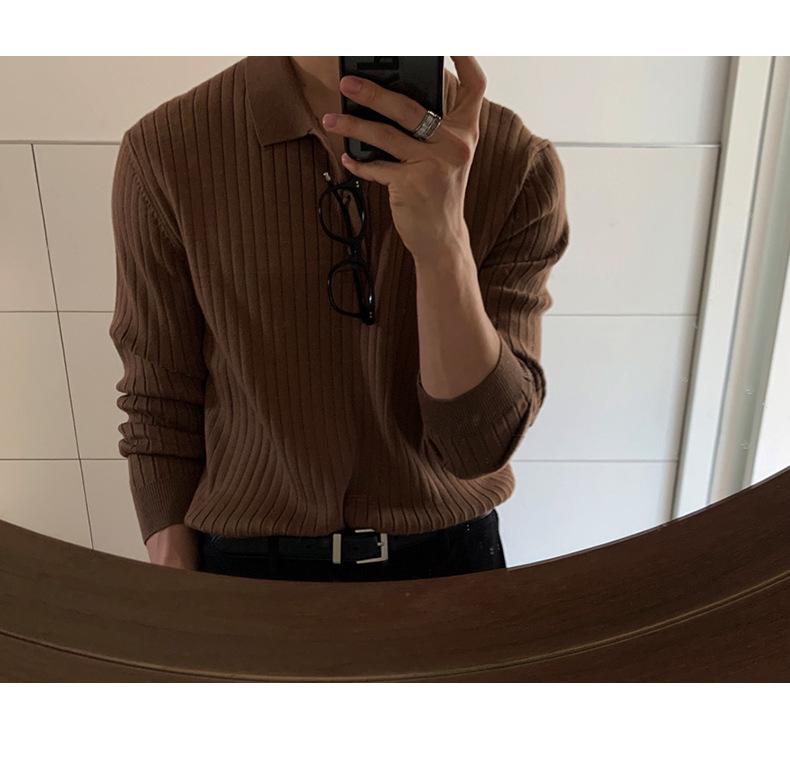 Herren Strickpolo-Pullover im französischen Stil mit Revers