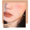 Natural Gradient Blush Powder Matte Shimmer Daily Face Makeup For Women