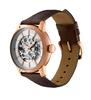 Watch Furbo Design Brown [Furbo Design] NF04W-PGBR Men's