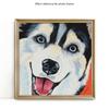 Diamond Painting Full Round Dog 5D DIY Diamond Embroidery Mosaic Animals Rhinestone Pictures Handmade Gift Home Decor