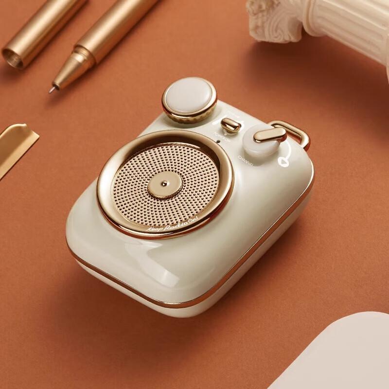 Mao Wang Audio MW-P3 Portable Bluetooth Speaker