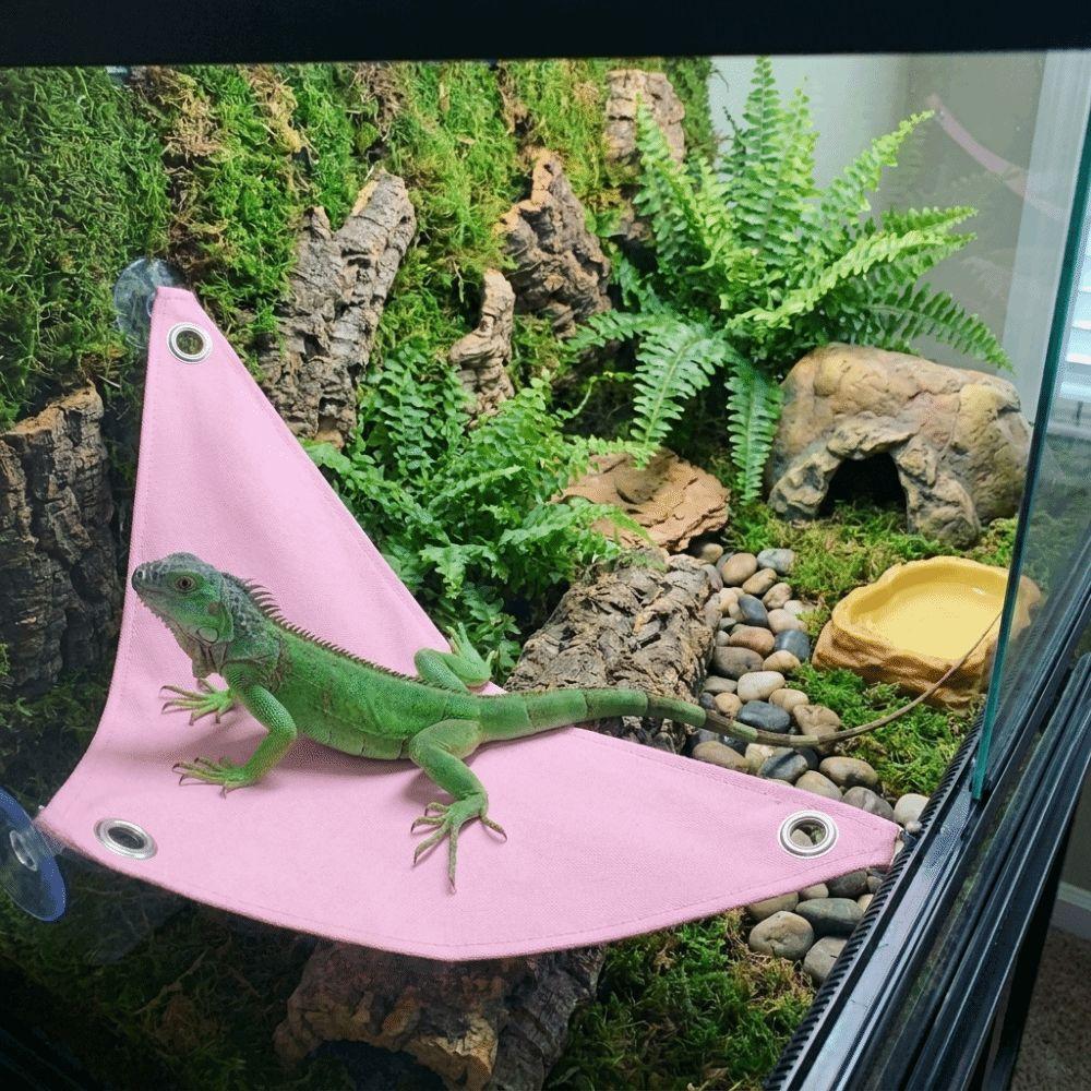 Lightweight Lizard Triangle Hammock Suction Cup Pet Climbing Net Habitat Decor