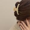 Shark Clip Hair Clip Korean Style Headwear Acetic Acid Hair Clip Hair Claw Female Hair Accessories