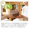 [Petit Lou] 88th Birthday Bear Petit Gift Cushion (88th Birthday Yellow Normal) 12cm Small Size