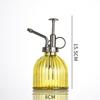 Creative Glass Pumpkin Water Sprayer