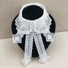Vintage Embroidery Fake Collar For Women White Lace Hollow False Detachable Collar Lapel Shirt Tie Necklace Clothes Accessory