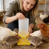 Pássaros – Louça para aves