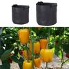 1-34 Gallon Potato Planting Bag Pot Planter Growing Garden Vegetable Container