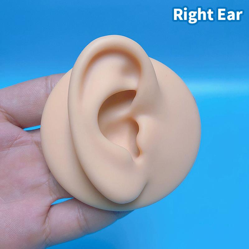 

1:1 силиконовая модель уха профессиональная практика пирсинг инструменты дисплей ювелирные изделия