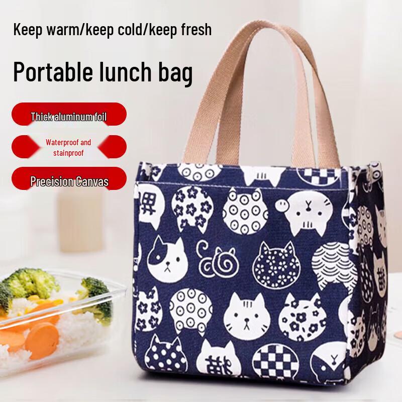 Portable Insulated Lunch Bag