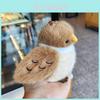 Parrot Kiwi Bird Sparro Swallow Bird Plush Toy With Squeezing Sound For Kids And Girls Birthday Gift