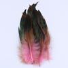 Natural Cock Feathers 5-7inch Colorful Pheasant Feather for Crafts Jewelry Making Accessory Party Clothing Decoration