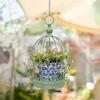 Hanging Basket Plant Holder Birdcage Flower Stand Ornament Iron Metal Planter for Indoor