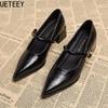 Designer Vintage Pointed Toe Women Mary Jane Shoes Fashion Shallow Buckle Shoes Ladies Elegant Dress Thick Heel Shoes