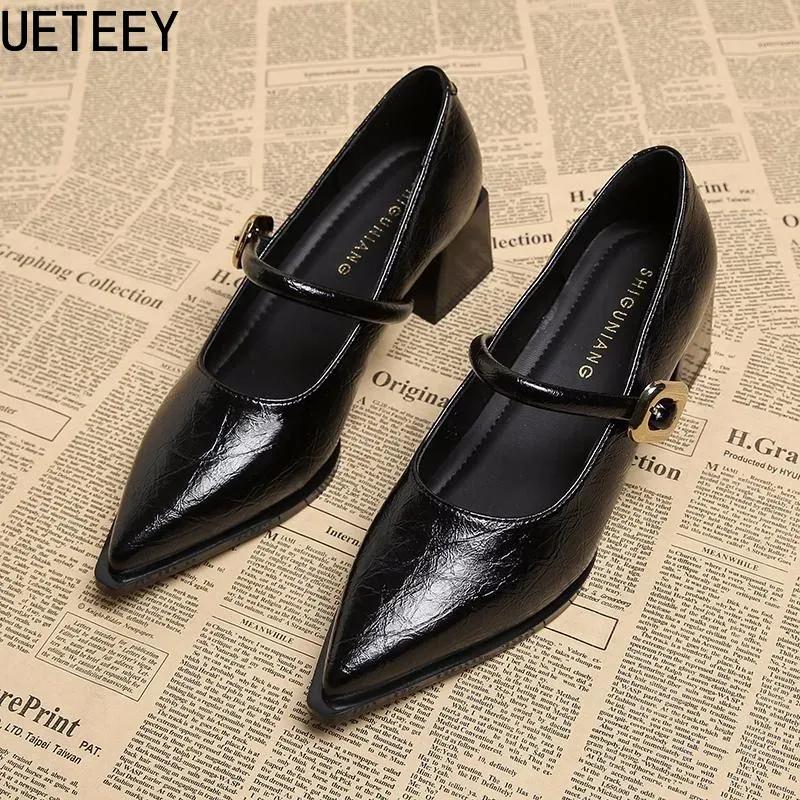 Designer Vintage Pointed Toe Women Mary Jane Shoes Fashion Shallow Buckle Shoes Ladies Elegant Dress Thick Heel Shoes
