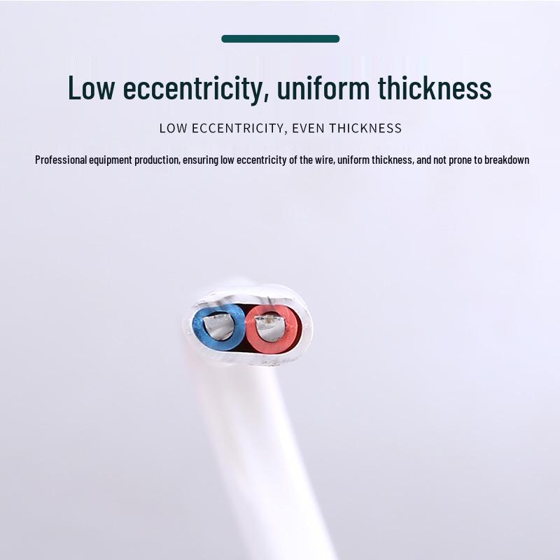 Flame Retardant 2-Core Aluminum Electrical Wire (2.5/4/6 sq mm) Sheathed for Outdoor Household Use