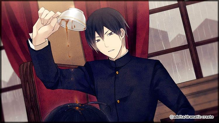 Hashihime of the Antique Bookstore District Switch -