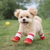Hollow Out Dog Mesh Shoes Breathable Dog Paw Protectors Fashion Dog Footwear  Training