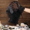 Large Size Women Summer Pure Sexy Lace Hollow Mesh Cotton 10A Anti Bacterial Briefs