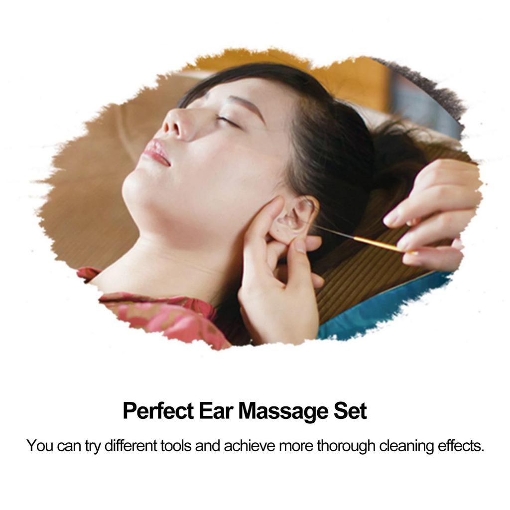 10pcs Ear Picking Tool Set Goose Feather Stick EarPicking Massage Ear Canal Cleaning EarPicking Tool Ear Picking Spoon EarCare