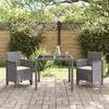 VidaXL Chaises de jardin avec coussins 2 pcs Gris clair Poly rotin 847467