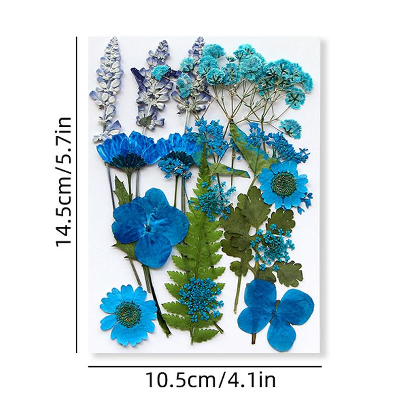 Pressed flower and dried flower craft kit, facial decoration for eye corner photo props, DIY resin photo frame with petals